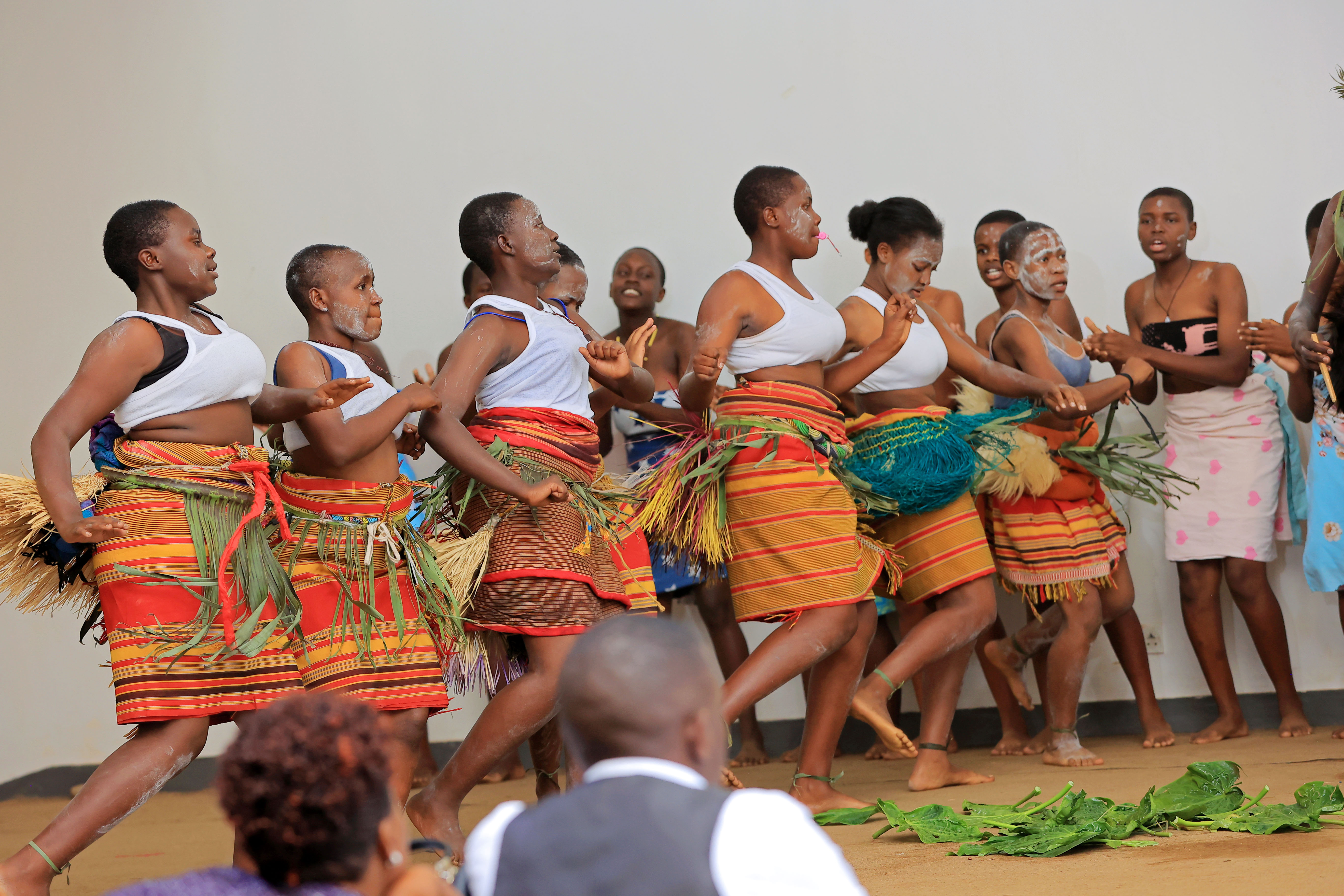 Cultural dance performance